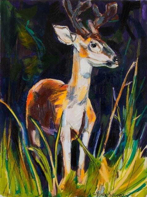 Young Buck in Bayou Brush