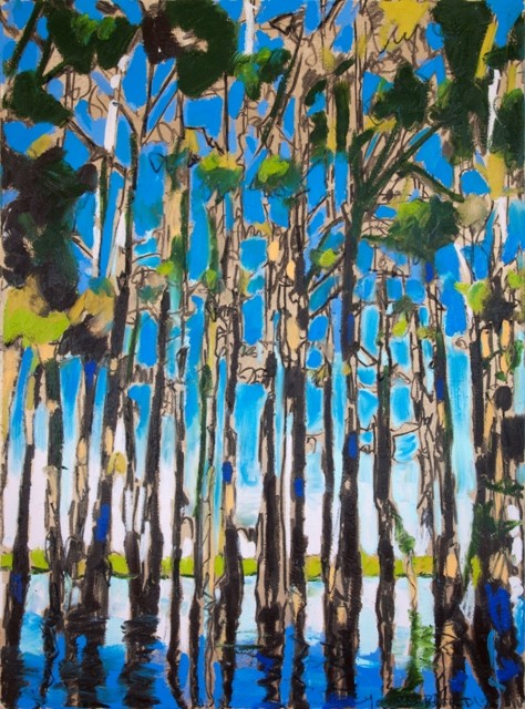 Cypress Reflections III