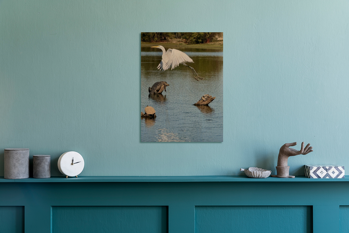 "God Winks at the Levee" Wildlife Photography Wood Print