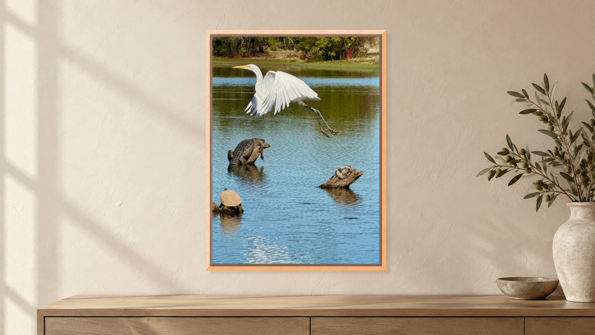 “God Winks at the Levee” Wildlife Photography Wood Print