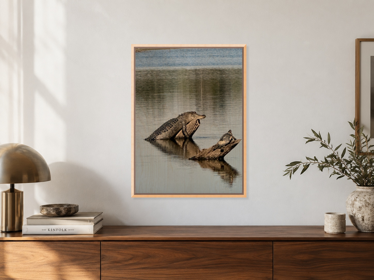 "Karl the Gator & Turtle at the Levee" Wildlife Photography Wood Print