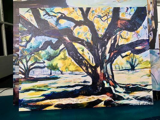 Live Oak Tree Giclee on Canvas