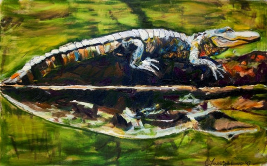 Alligator on Log in Green Bayou 20230016