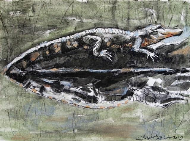 Green Alligator Study on Paper 20230017