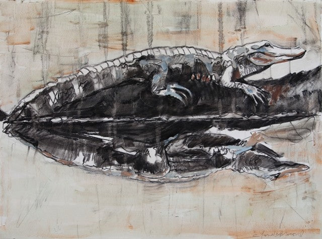 Warm Alligator Study on Paper 20230018