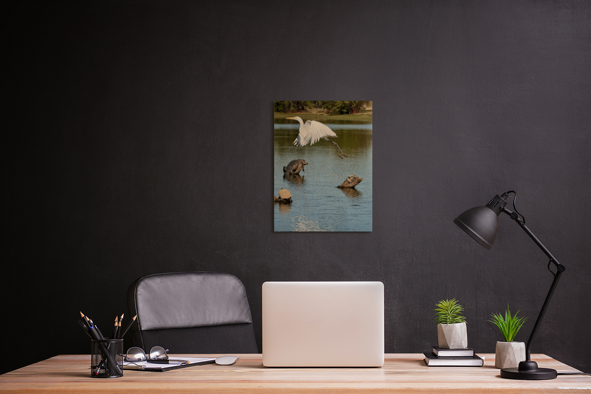 "God Winks at the Levee" Wildlife Photography Wood Print
