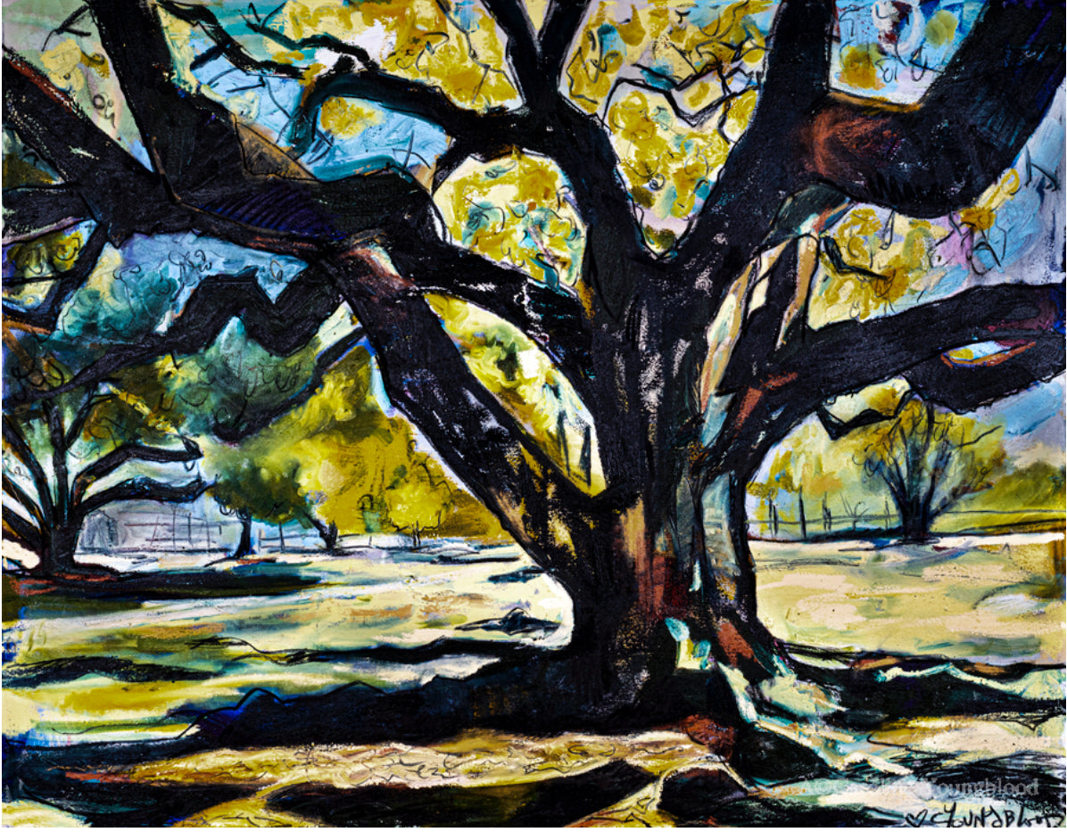 50% off (36x48”) Live Oak signed giclee on canvas