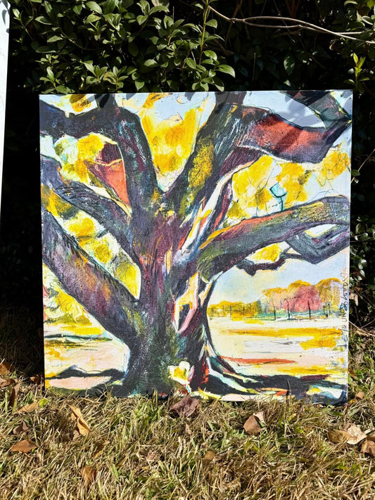Live Oak Tree (24x24”) | 50% off