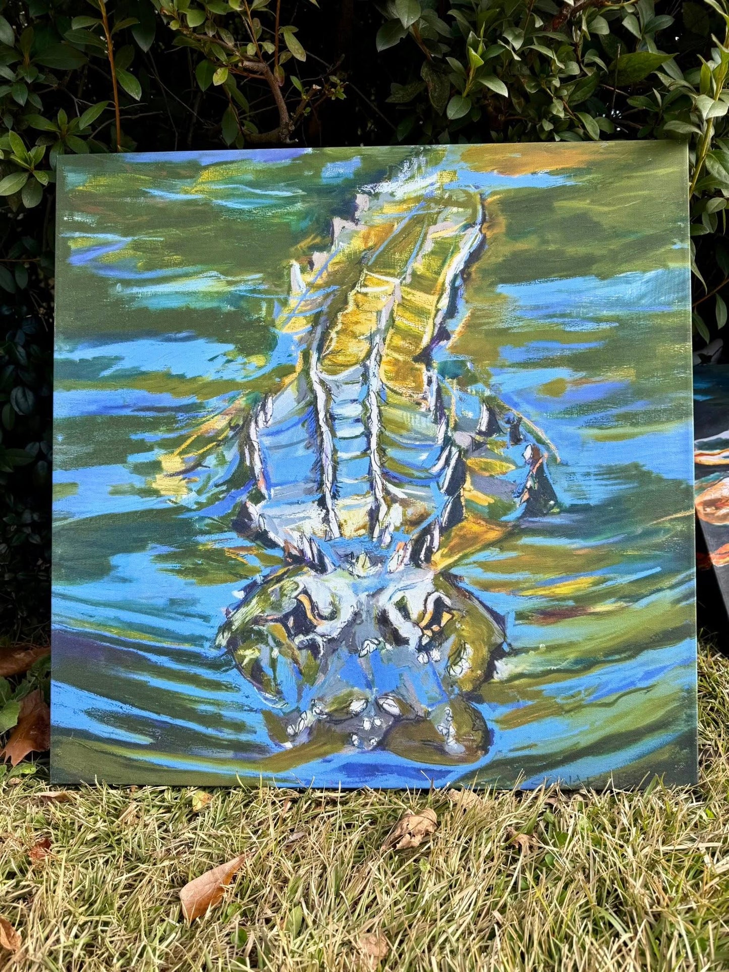 Gator Under Water (24x24”) | 20% off | SOLD OUT ‼️