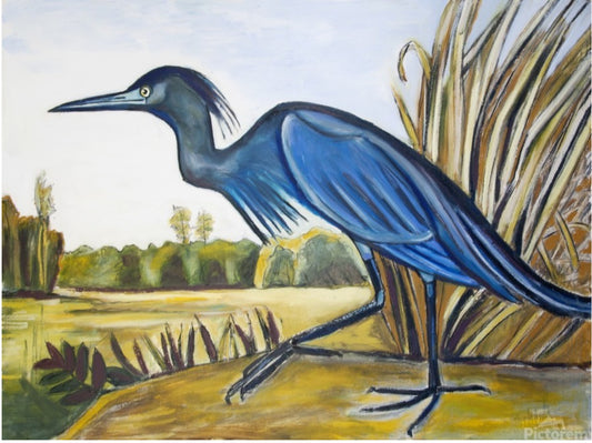 30% off (36x48”) Little Blue Heron signed giclee on canvas