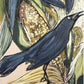 30% off (24x30”) Grackle with Corn signed Giclee on canvas