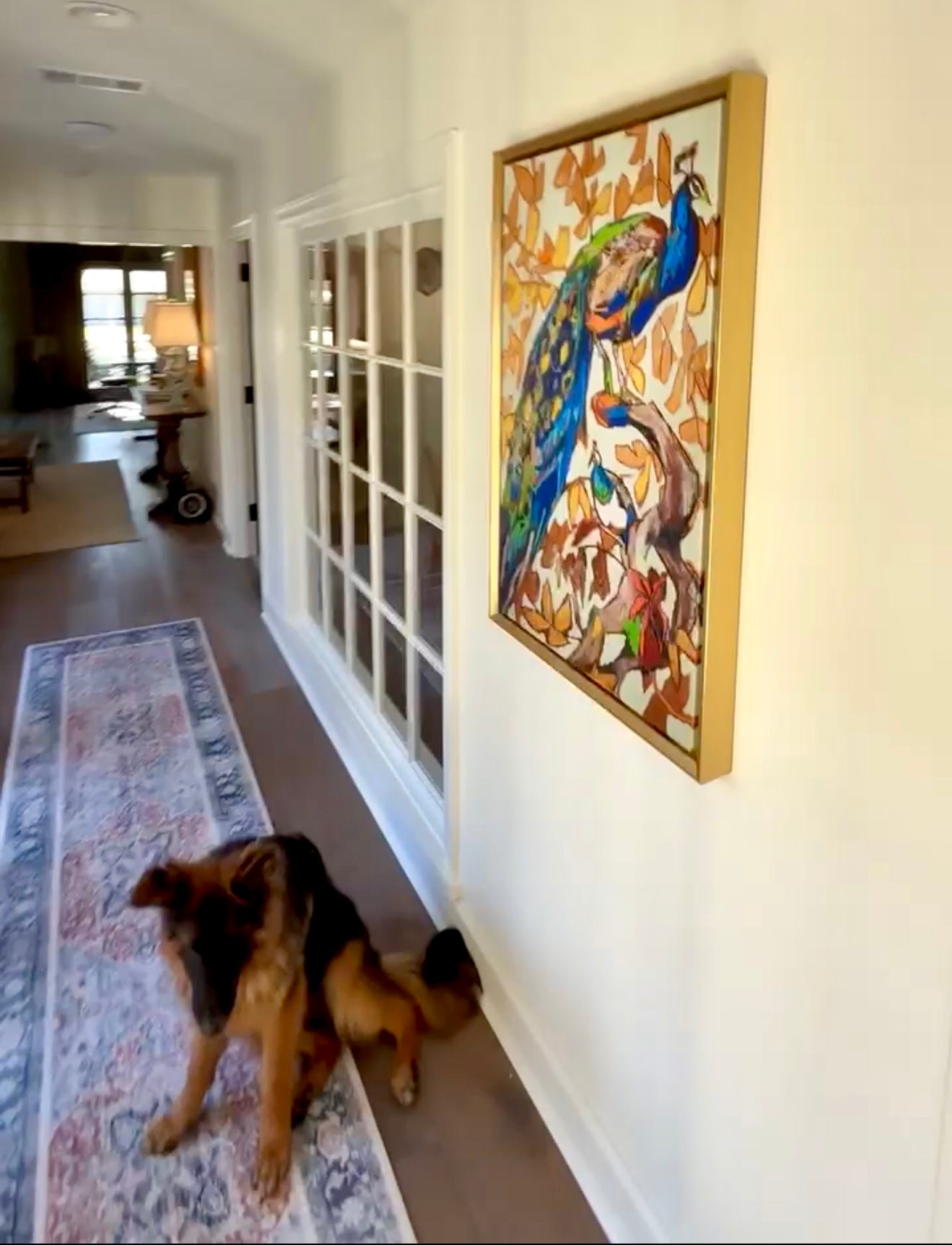 “Peacock Pair” (23x36”) giclee printed canvas with solid gold floating frame