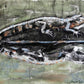 Green Gator Study (22x30) with gold floating frame