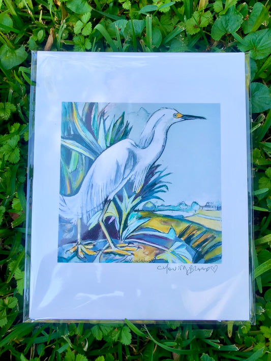 Snowy White Heron