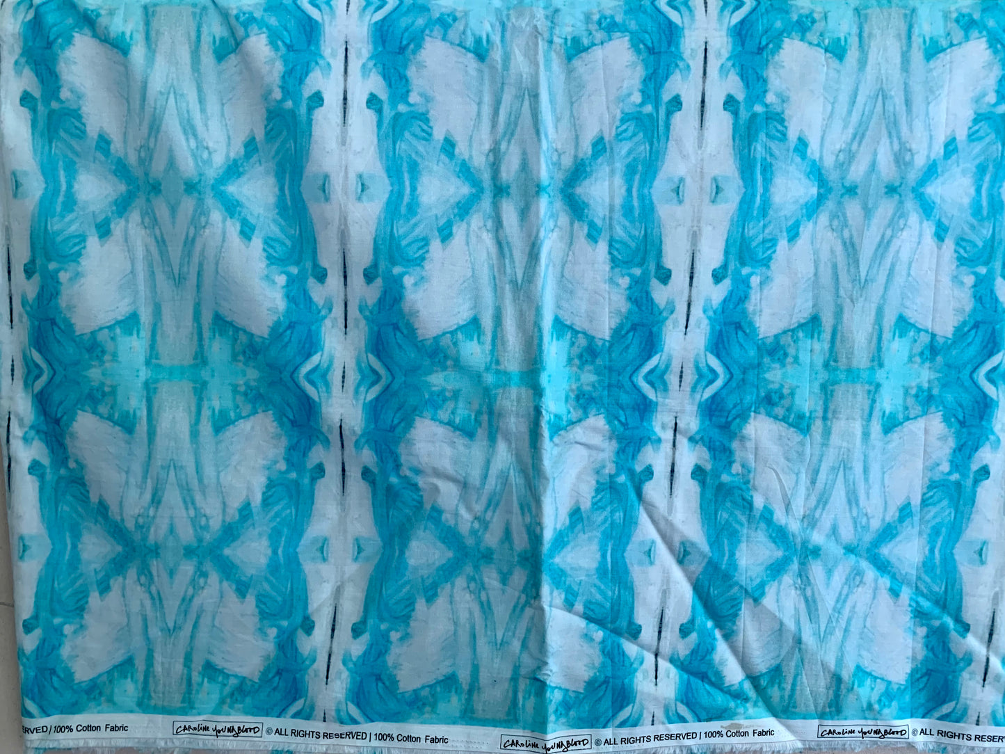 Blue Skies Printed Cotton Fabric
